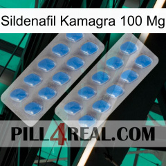 Sildenafil Kamagra 100Mg 23